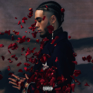 熟女竹内梨惠AV一区
