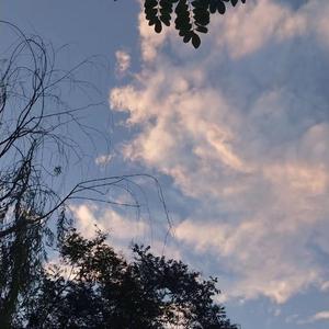 熟女竹内梨惠AV一区
