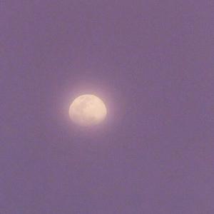 熟女竹内梨惠AV一区
